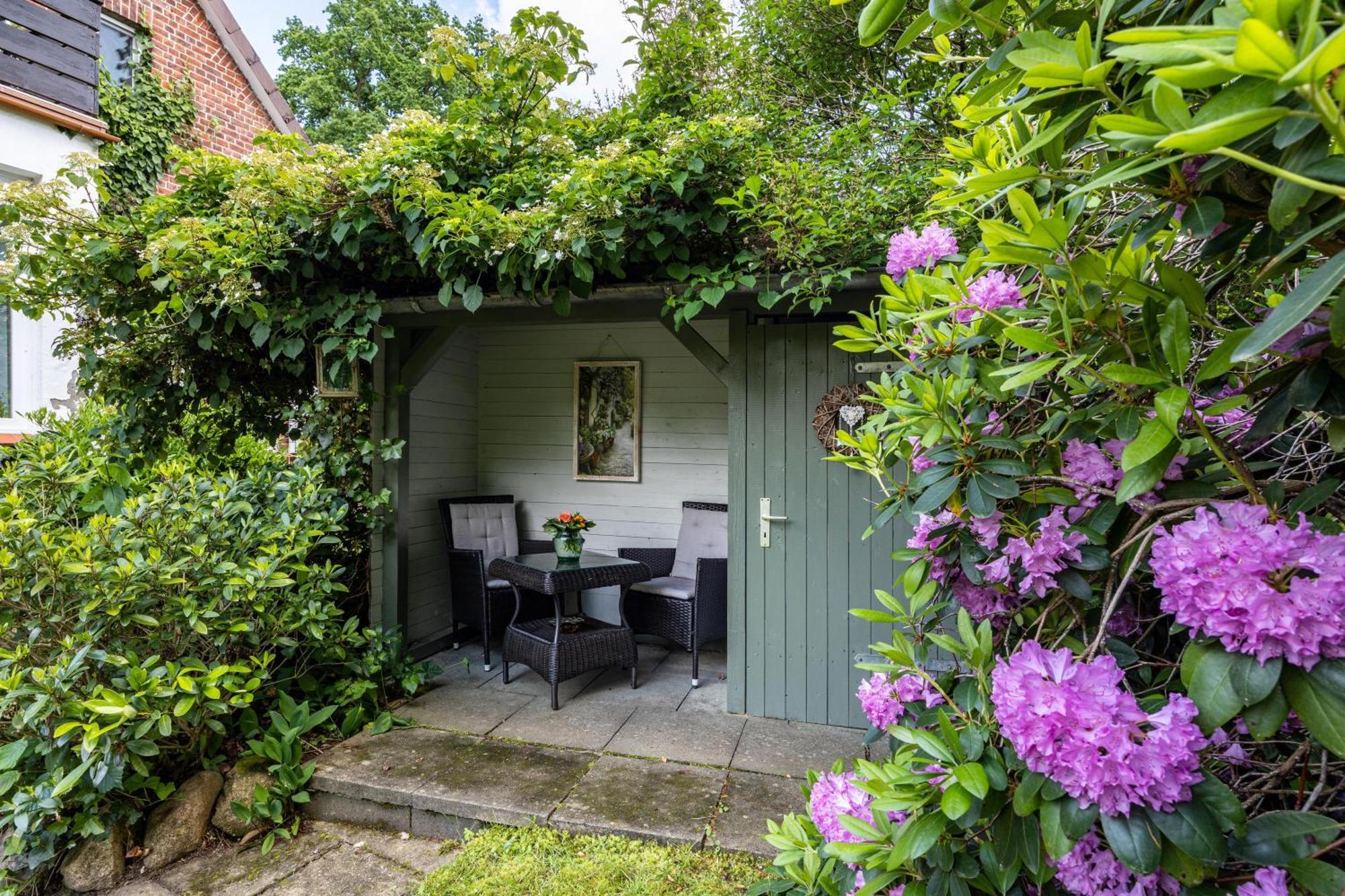 Ferienwohnung Abendsonne Bendestorf ภายนอก รูปภาพ